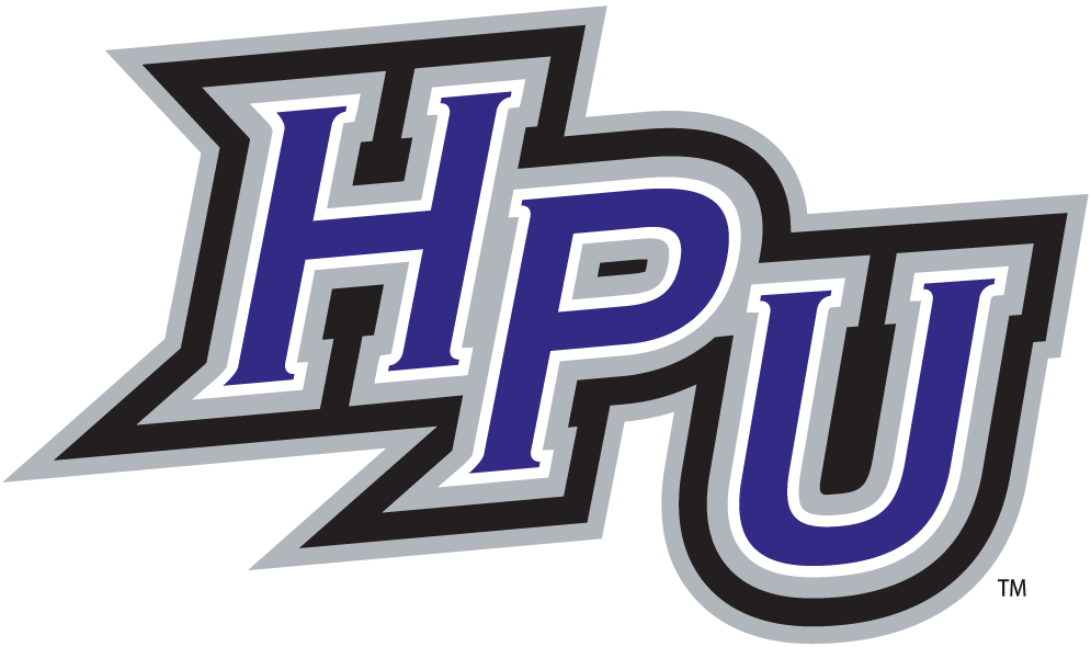 High Point Panthers 2004-Pres Alternate Logo t shirts DIY iron ons v2